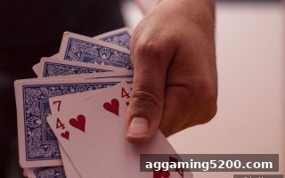 捕鱼王中王深度解析：百家乐、棋牌与轮盘的千年传奇与娱乐哲学