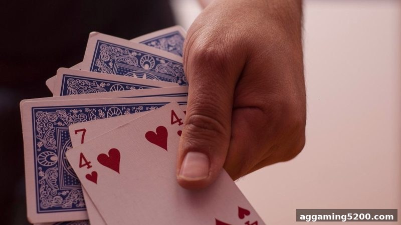 捕鱼王中王深度解析：百家乐、棋牌与轮盘的千年传奇与娱乐哲学