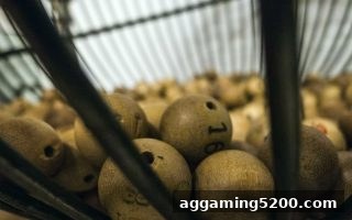 捕鱼王中王带你玩转双色球复式：全面解析与实战策略