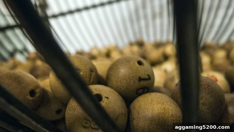 捕鱼王中王带你玩转双色球复式：全面解析与实战策略