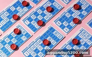 捕鱼王中王：两面盘玩法全攻略与盘口深度解析
