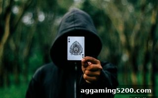 捕鱼王中王揭秘：赔率与策略如何重塑二十一点竞技格局