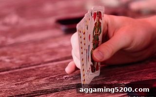 胜率数据实战指南：捕鱼王中王带你从统计小白到策略高手