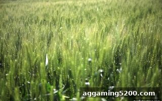 捕鱼王中王钜惠攻略：JDB平台首充豪华礼包全解析