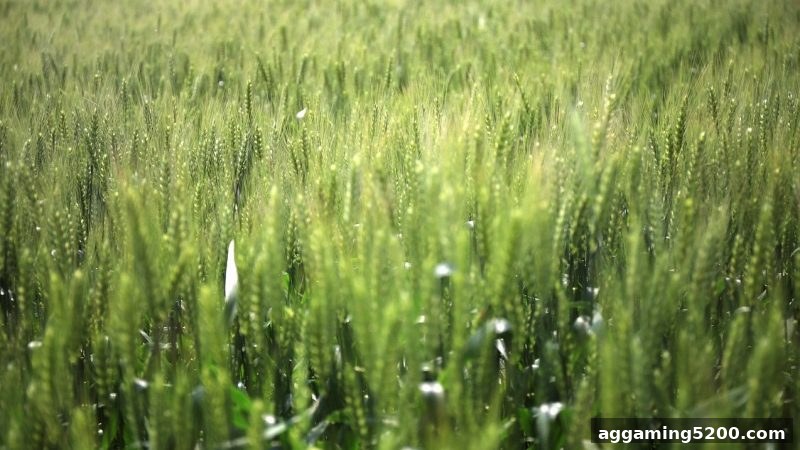 捕鱼王中王钜惠攻略：JDB平台首充豪华礼包全解析