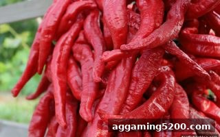 捕鱼王中王深度解析：首次充值体验金的完整攻略与避坑指南