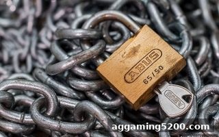 捕鱼王中王平台安全体系深度剖析——从技术到合规的全方位保障