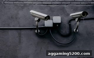 水果机娱乐安全指南：捕鱼王中王带你玩转合规出分与隐私防护