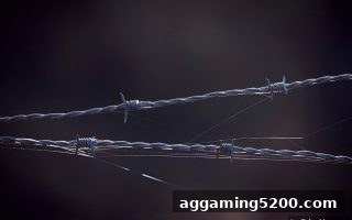 捕鱼王中王平台出款难题的根源与破解之道