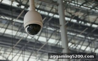 新手必看：捕鱼王中王教你高效处理平台纠纷的完整指南